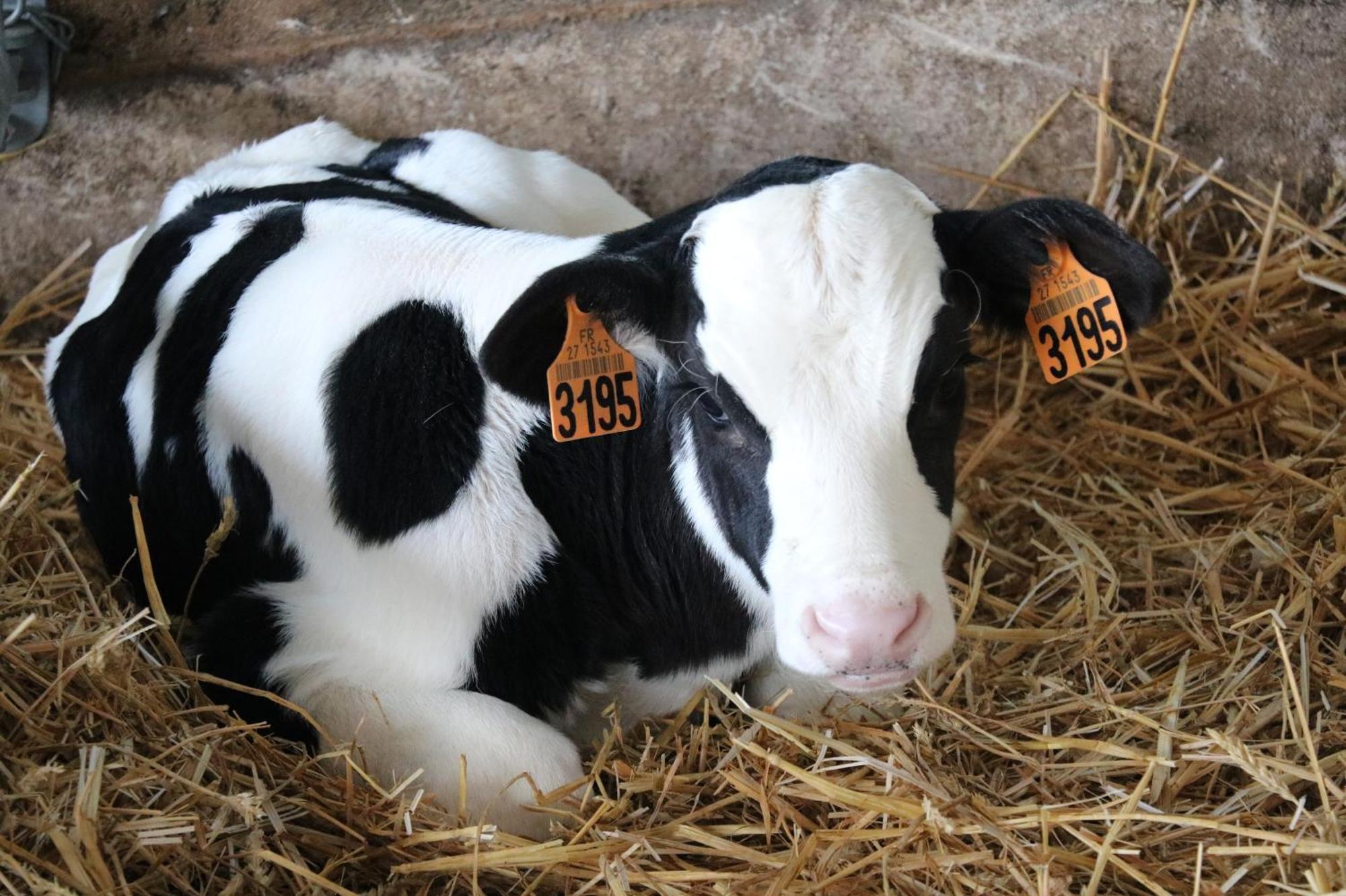 Le Thuit - F2 Plain Pied Tout Equipe A La Ferme Charleval  Esterno foto