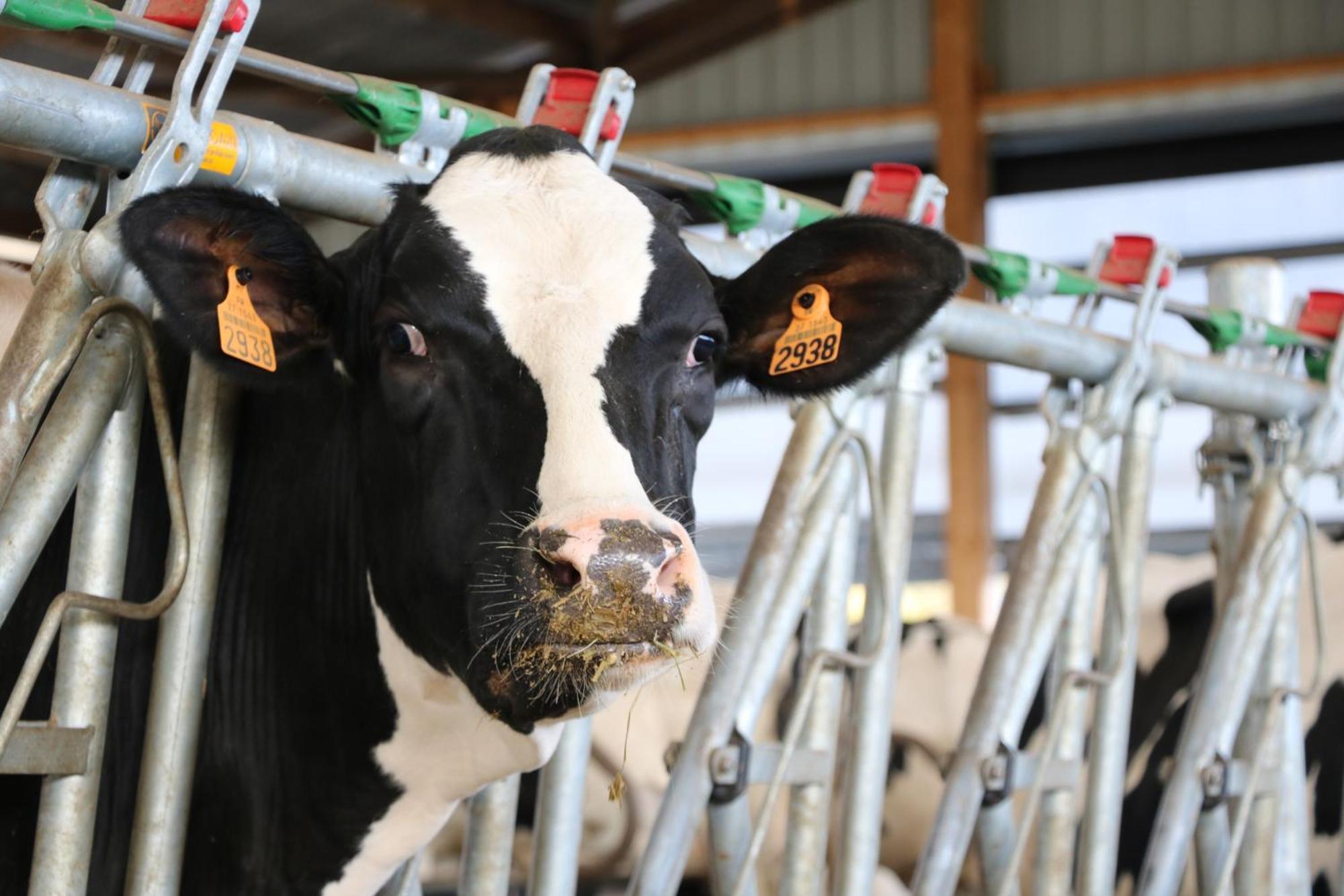 Le Thuit - F2 Plain Pied Tout Equipe A La Ferme Charleval  Esterno foto